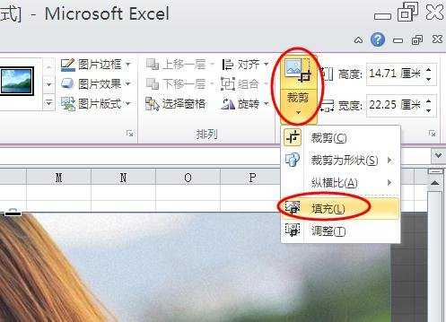 excel中图片裁剪的教程