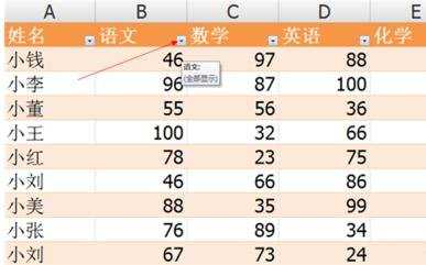 excel2007的排序和高级筛选的用法