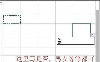 excel2007设定单元格固定值的教程