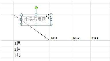 excel怎么在表格加斜杠加文字