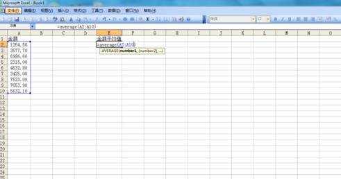 excel2003平均数的计算教程