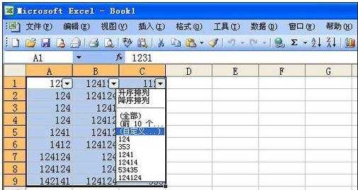 excel2003筛选功能使用方法