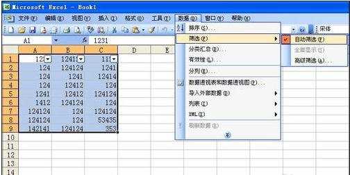 excel2003筛选功能使用方法