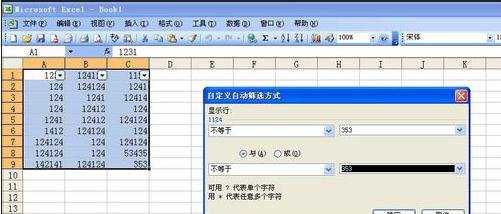 excel2003筛选功能使用方法