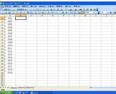 excel输入001类数据的方法