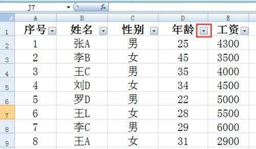 excel2007全部显示筛选数据的方法