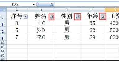 excel2007全部显示筛选数据的方法