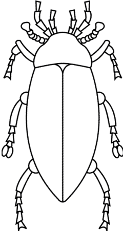 甲虫简笔画图片大全
