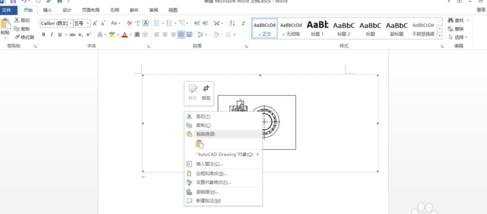 如何将CAD图形导进WORD