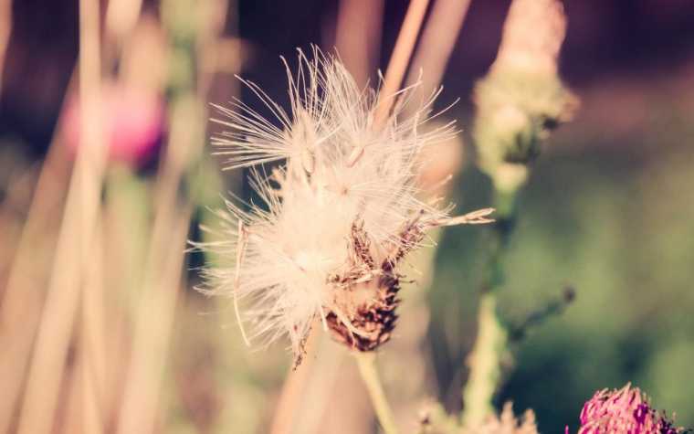 教师节感恩语录