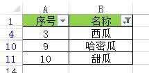 excel筛选出带特定字符的方法