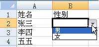 excel2007设计下拉菜单的教程