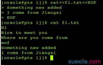 Linux cat命令怎么使用