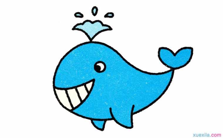 简单的鲸鱼卡通画教程图片