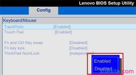 Thinkpad怎么开启或禁用小红帽