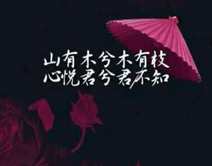 文字唯美诗意图片