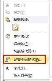 word2003怎么从任意页设置页码