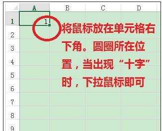 excel排序列号的方法