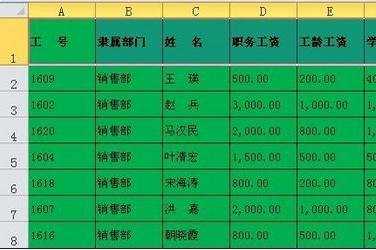 excel表格进行自定义筛选的教程