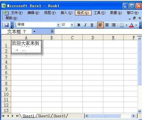 excel2007手动换行的方法