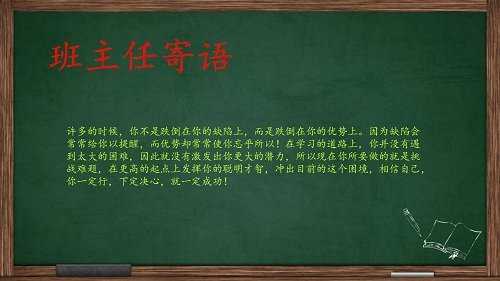 班主任三年综合评语