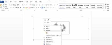 cad图形复制到word中怎么编辑