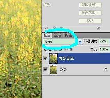 怎样使用photoshop锐化处理