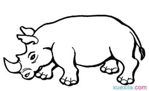 儿童动物画犀牛简笔
