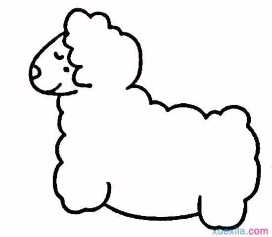 儿童动物画绵羊简笔画步骤
