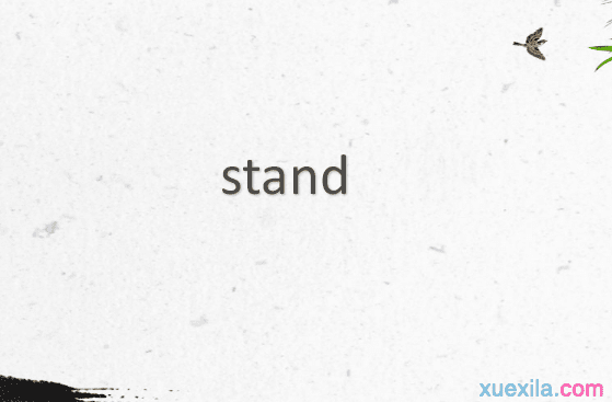 stand是什么意思