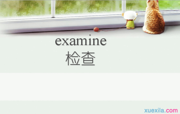 examine是什么意思