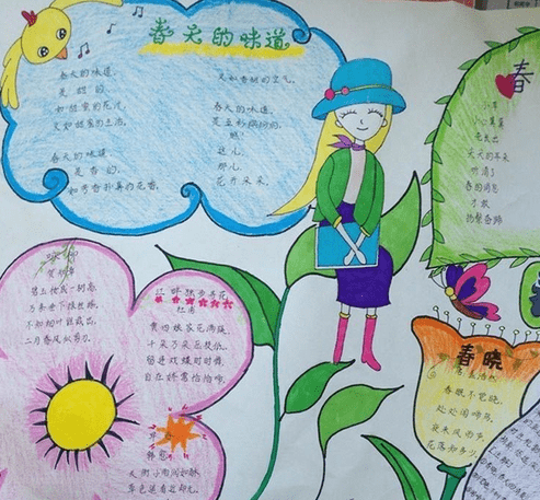 小学手抄报大全，小学生手抄报