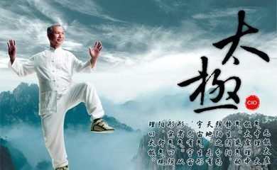 杨式太极拳40式身法要领