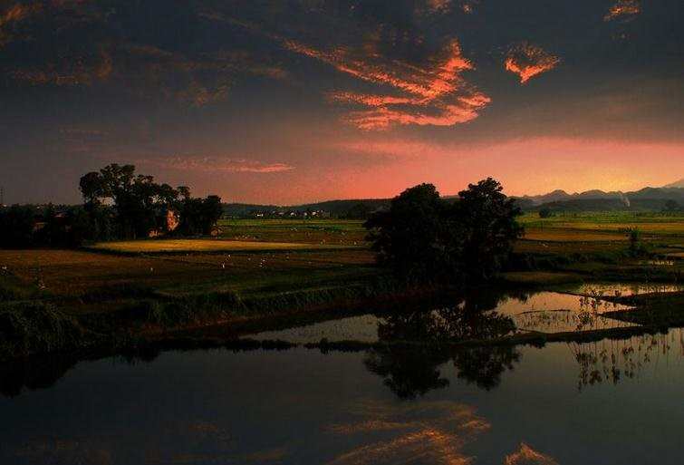 初二夏天写景作文