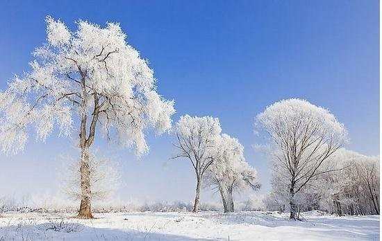 关于雪的古代散文诗