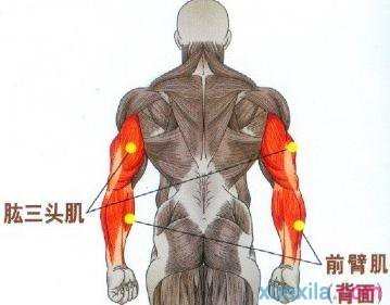 三头肌锻炼方法