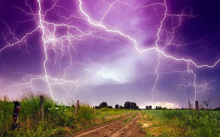 打雷天为什么不能在树下躲雨