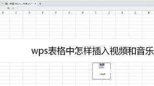 wps表格怎样插入视频