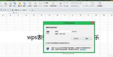 wps表格怎样插入视频