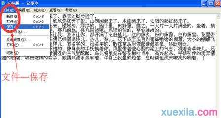 如何解决XP系统编辑记事本无法保存