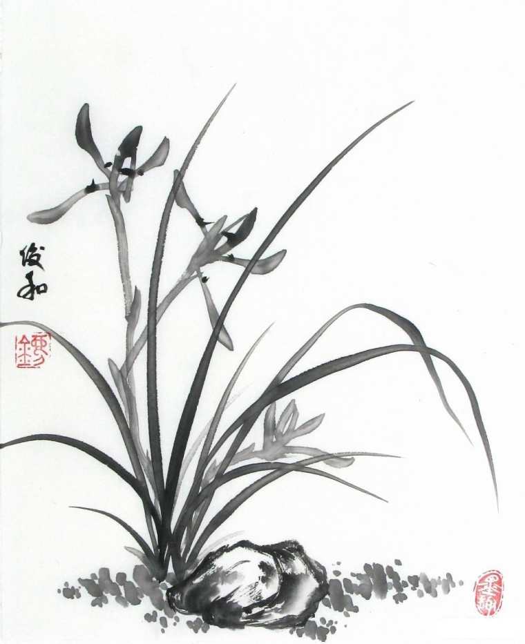 兰花水墨画，兰花水墨画图片