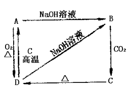 高一化学必修一第四章测试题及答案