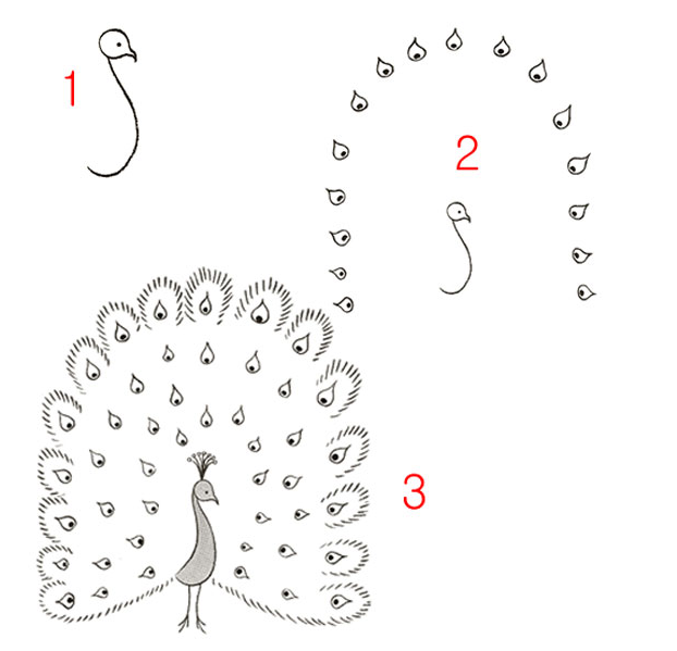 孔雀简笔画步骤，孔雀开屏简笔画步骤