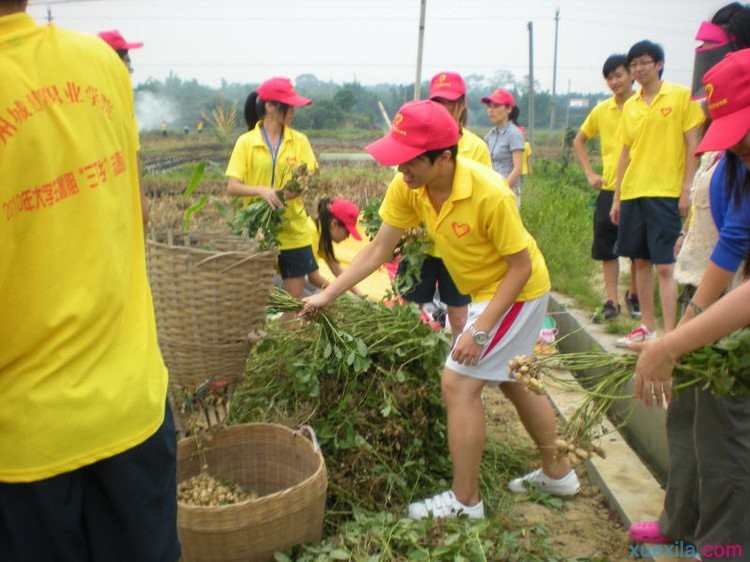 2016大学生暑期社会实践活动总结范文精选