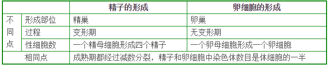 高一生物重要知识点解析