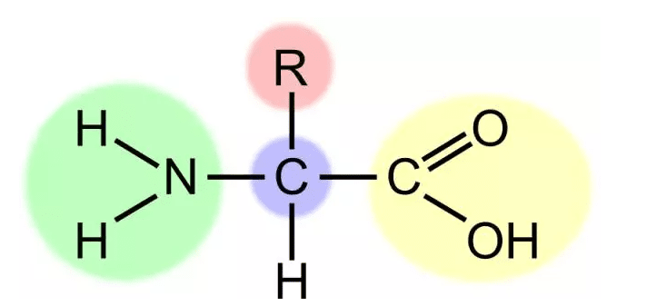 高中生物公式大全