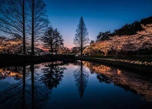 日本风光摄影作品合集