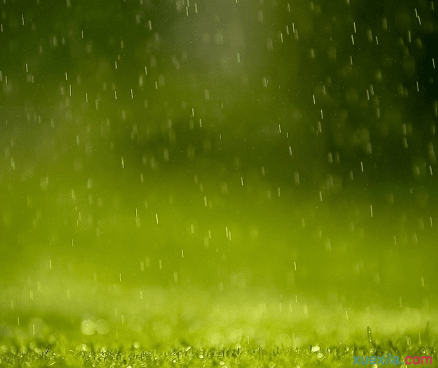 关于描写春雨的句子