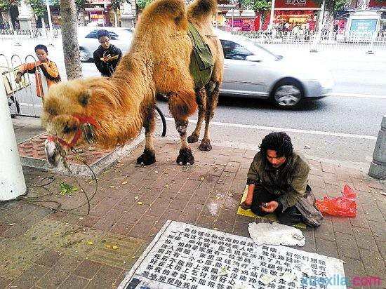 1除以3打一成语