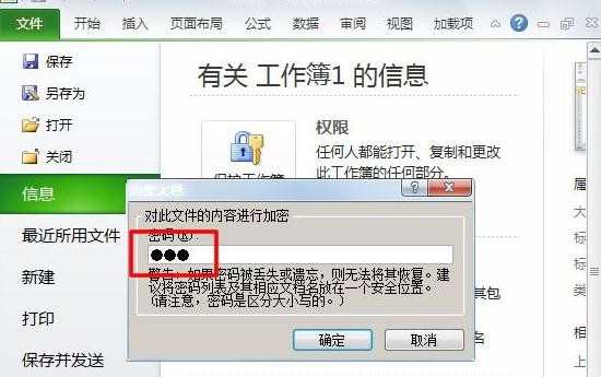 excel2010怎样设置密码
